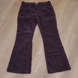 Pilcro Deep Purple Flare Corduroy Pants